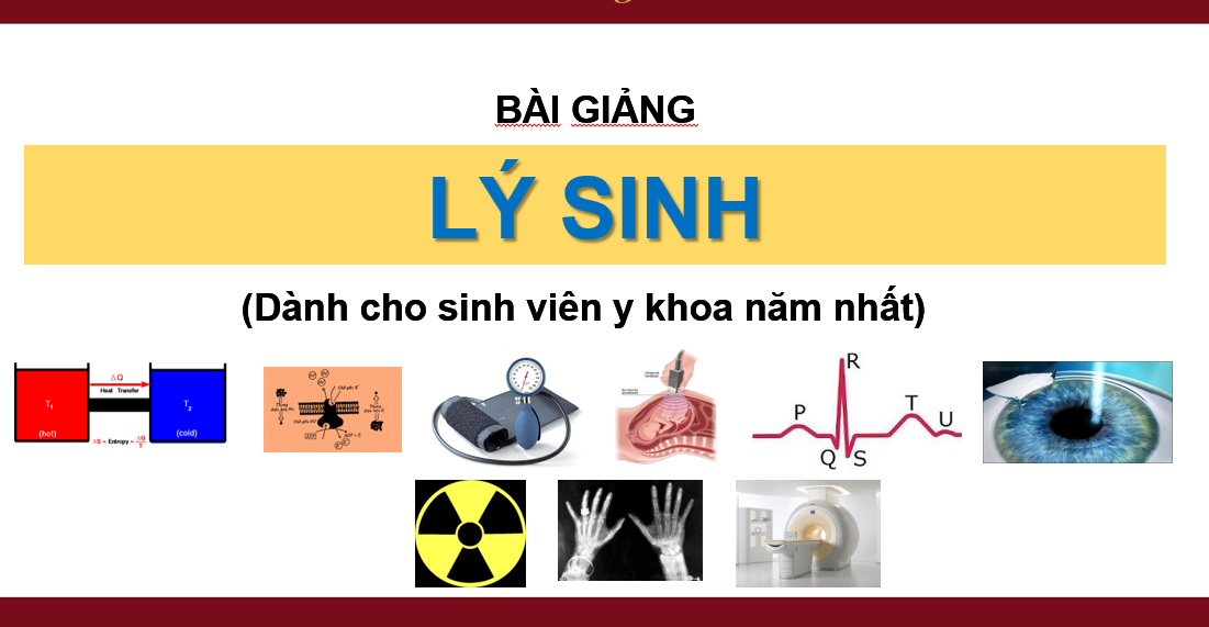 ly sinh