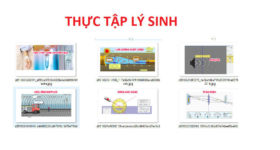Thực tập lý sinh